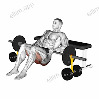 Barbell Hip Thrust with Resistance Band exercise targeting Hips