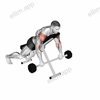 Barbell Incline Lying Rear Delt Raise exercise targeting Shoulders and Deltoid Anterior