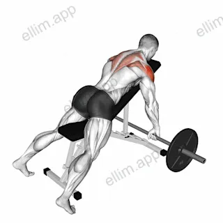 Barbell Incline Rear Delt Row exercise targeting Back
