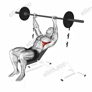 Barbell Incline Shoulder Raise exercise targeting Chest and Serratus Anterior