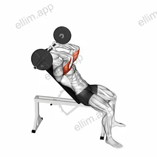 Barbell Incline Triceps Extension Skull Crusher exercise targeting Upper Arms and Triceps Brachii