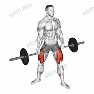 Barbell Jefferson Squat exercise targeting Thighs and Gluteus Maximus