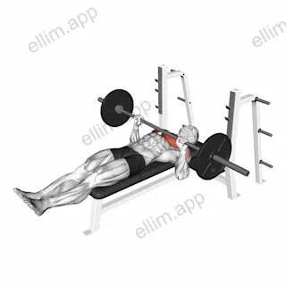 Barbell Larsen Press exercise targeting Chest