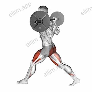 Barbell Low Split Squat exercise targeting Thighs