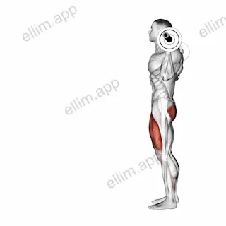 Barbell Lunge exercise targeting Thighs and Gluteus Maximus