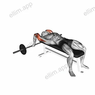 Barbell Lying Close grip Triceps Extension exercise targeting Upper Arms