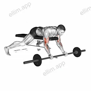 Barbell Lying Preacher Curl exercise targeting Upper Arms and Brachialis
