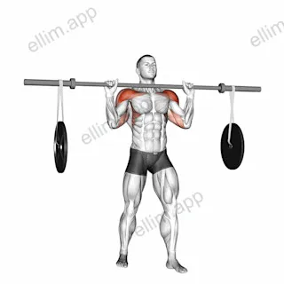 Barbell Military Press (with hanging band technique) exercise targeting Shoulders and Deltoid Anterior