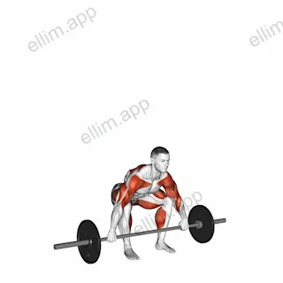 Barbell Muscle Snatch exercise targeting Weightlifting