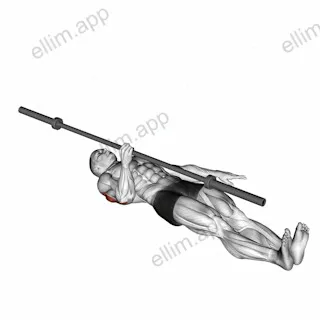 Barbell One Arm Floor Press exercise targeting Upper Arms and Triceps Brachii