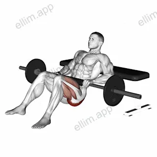 Barbell one leg hip thrust exercise targeting Hips and Gluteus Maximus
