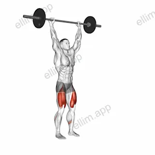 Barbell Overhead Lunge exercise targeting Thighs and Gluteus Maximus