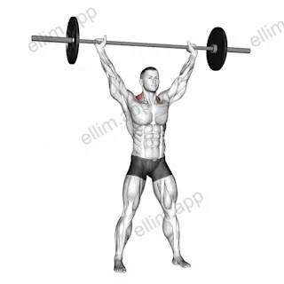 Barbell Overhead Shrug exercise targeting Back and Trapezius Upper Fibers