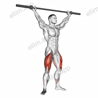 Barbell Overhead Squat exercise targeting Thighs and Quadriceps