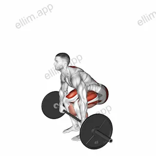 Barbell Pause Deadlift exercise targeting Hips