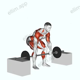 Barbell Power Clean from Blocks exercise targeting Weightlifting and Adductor Magnus