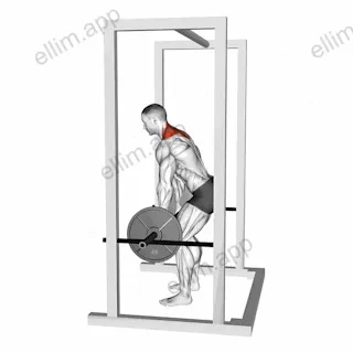 Barbell Power Shrug exercise targeting Back