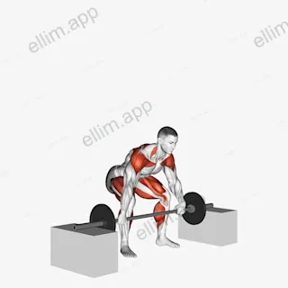 Barbell Power Snatch From Blocks exercise targeting Weightlifting and Adductor Magnus