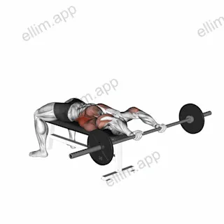 Barbell Pullover exercise targeting Back