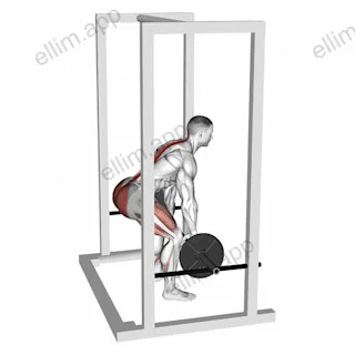 Barbell Rack Pull exercise targeting Hips and Erector Spinae