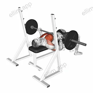 Barbell Reverse Grip Bench Press exercise targeting Chest and Pectoralis Major Sternal Head