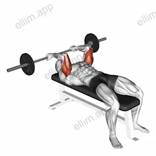 Barbell Reverse Grip Skullcrusher exercise targeting Upper Arms