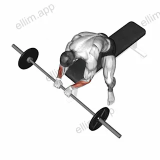 Barbell Reverse Wrist Curl exercise targeting Forearms and Wrist Extensors