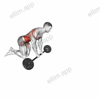 Barbell Rollout exercise targeting Hips and Iliopsoas