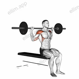 Barbell Seated Behind Head Military Press exercise targeting Shoulders and Deltoid Anterior
