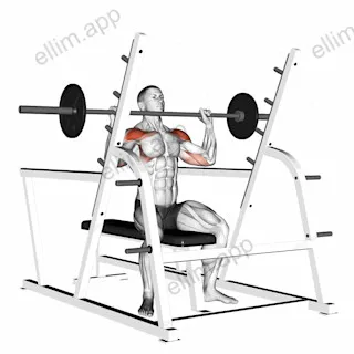 Barbell Seated Military Press (inside squat cage) exercise targeting Shoulders and Deltoid Anterior