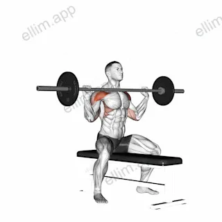 Barbell Seated Overhead Press exercise targeting Shoulders and Deltoid Anterior