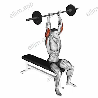 Barbell Seated Overhead Triceps Extension exercise targeting Upper Arms and Triceps Brachii