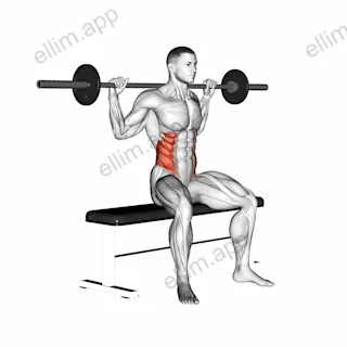 Barbell Seated Twist exercise targeting Waist and Obliques