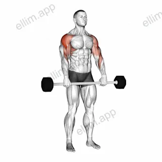 Barbell Shoulder Grip Upright Row exercise targeting Shoulders and Deltoid Lateral