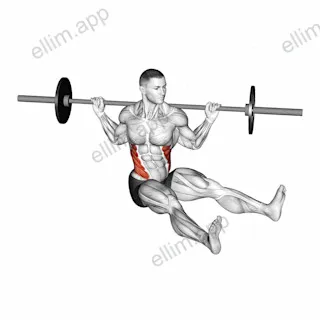 Barbell Sitting on Floor Oblique Twist exercise targeting Waist