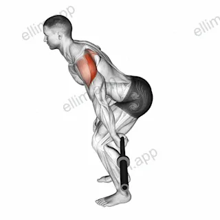 Barbell Skier exercise targeting Shoulders and Deltoid Posterior