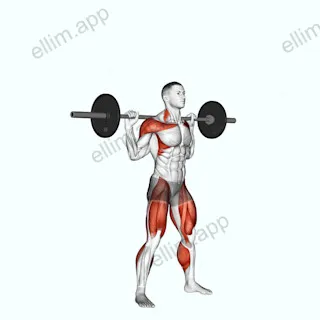 Barbell Snatch Balance exercise targeting Weightlifting and Adductor Magnus