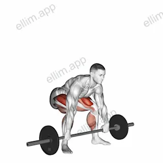 Barbell Snatch grip Deadlift exercise targeting Hips