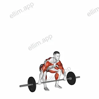 Barbell Snatch exercise targeting Weightlifting and Adductor Magnus