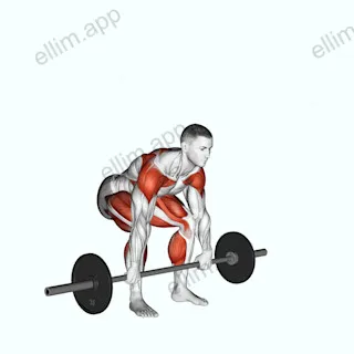 Barbell Split Clean exercise targeting Weightlifting and Biceps Brachii