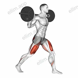 Barbell Split Squat exercise targeting Gluteus Maximus and Quadriceps