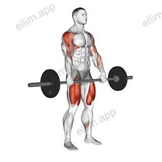 Barbell Squat to Upright Row exercise targeting Thighs