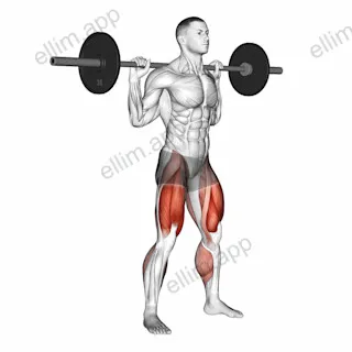 Barbell Squat exercise targeting Thighs