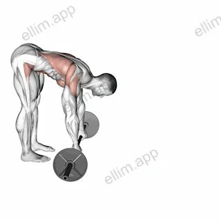 Barbell Standing ab rollout exercise targeting Waist