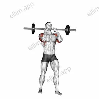 Barbell Standing Close Grip Military Press exercise targeting Shoulders and Deltoid Anterior
