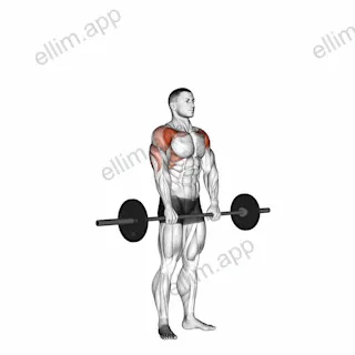 Barbell Standing Front Raise Over Head exercise targeting Shoulders and Deltoid Anterior