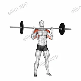Barbell Standing Military Press (without rack) exercise targeting Shoulders and Deltoid Anterior