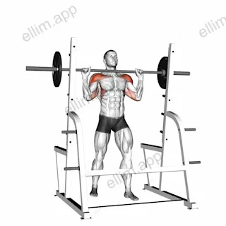 Barbell Standing Military Press exercise targeting Shoulders and Deltoid Anterior