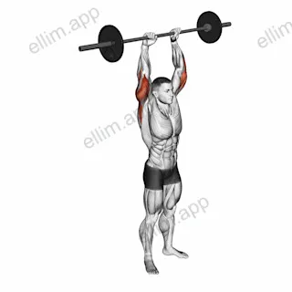 Barbell Standing Overhead Triceps Extension exercise targeting Upper Arms and Triceps Brachii