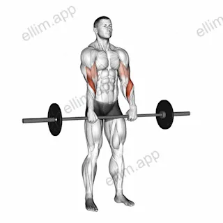Barbell Standing Reverse Grip Curl exercise targeting Forearms and Brachioradialis